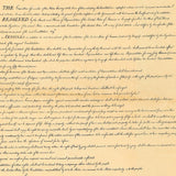 Original Bill of Rights Replica -  14" x 16" Parchment Poster