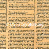 Benjamin Franklin - The Way to Wealth - Poster