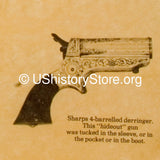 Weapons of the Old West 1800's